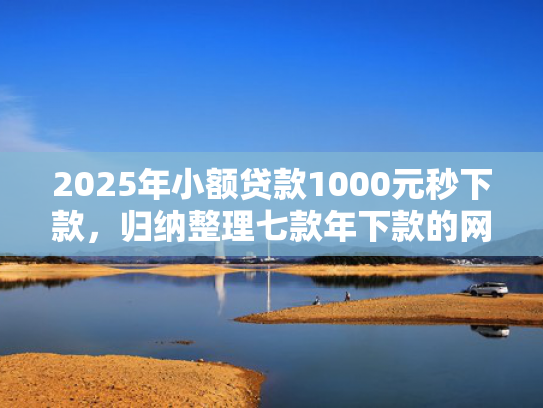 2025年小额贷款1000元秒下款，归纳整理七款年下款的网贷口子  第1张