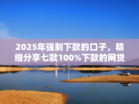 2025年强制下款的口子，精细分享七款100%下款的网贷口子  第1张