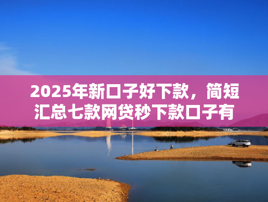 2025年新口子好下款，简短汇总七款网贷秒下款口子有