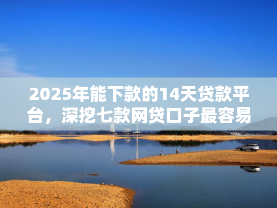 2025年能下款的14天贷款平台，深挖七款网贷口子最容易下款  第1张