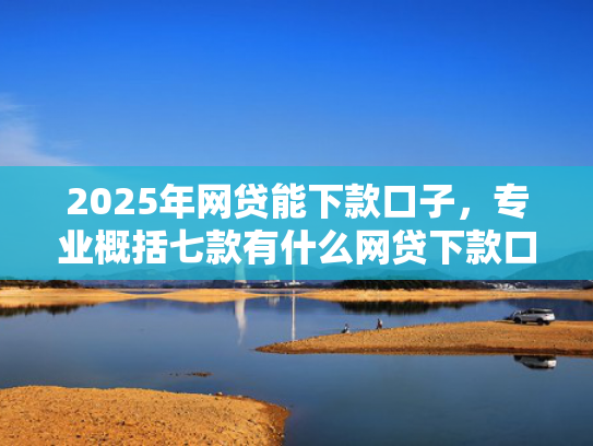 2025年网贷能下款口子，专业概括七款有什么网贷下款口子