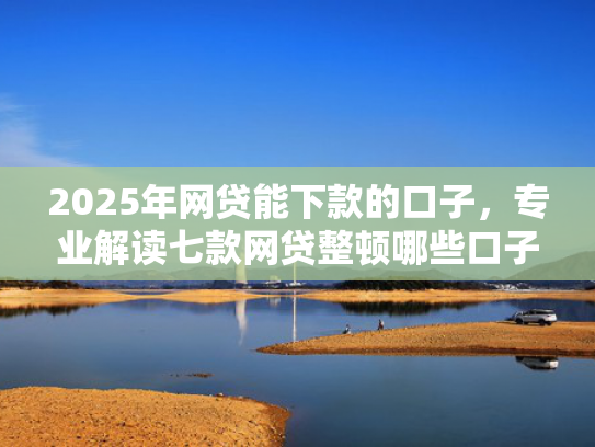 2025年网贷能下款的口子，专业解读七款网贷整顿哪些口子下款