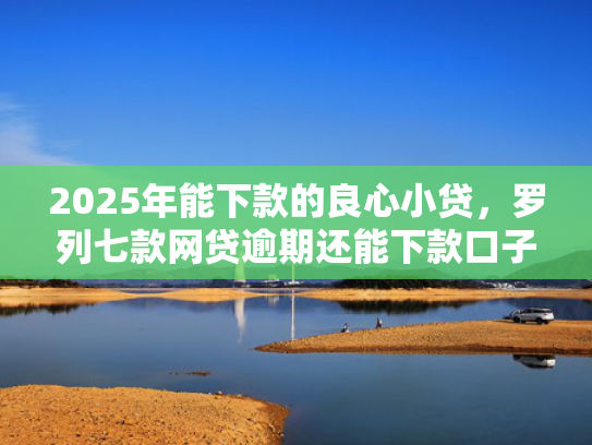 2025年能下款的良心小贷，罗列七款网贷逾期还能下款口子