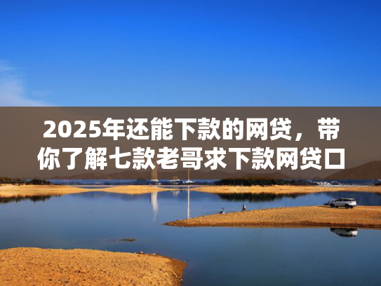 2025年还能下款的网贷，带你了解七款老哥求下款网贷口子