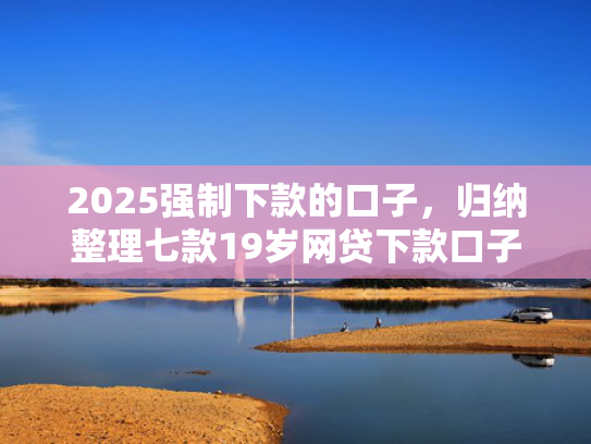 2025强制下款的口子，归纳整理七款19岁网贷下款口子