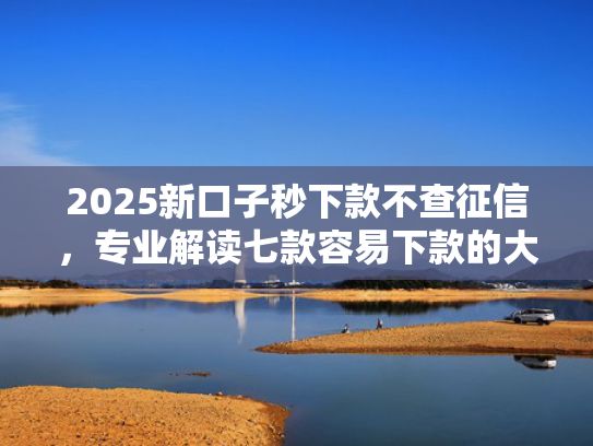 2025新口子秒下款不查征信，专业解读七款容易下款的大额网贷口子  第1张