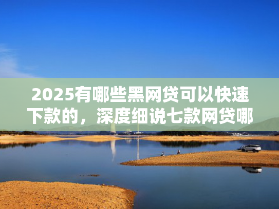 2025有哪些黑网贷可以快速下款的，深度细说七款网贷哪个口子好下款呢