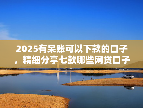 2025有呆账可以下款的口子，精细分享七款哪些网贷口子好下款的