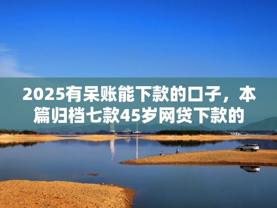 2025有呆账能下款的口子，本篇归档七款45岁网贷下款的口子  第1张