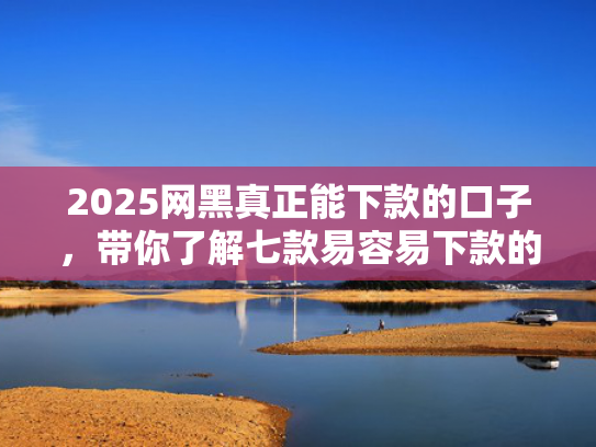 2025网黑真正能下款的口子，带你了解七款易容易下款的网贷口子