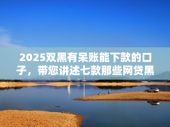 2025双黑有呆账能下款的口子，带您讲述七款那些网贷黑口子好下款