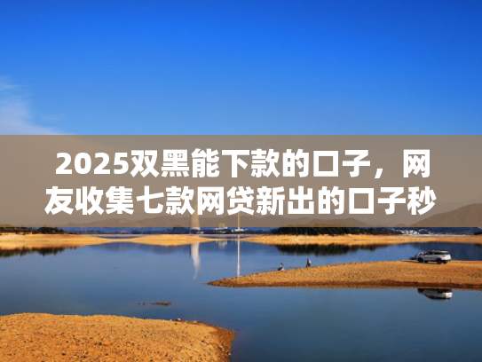 2025双黑能下款的口子，网友收集七款网贷新出的口子秒下款