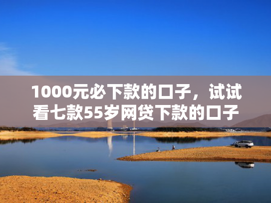 1000元必下款的口子，试试看七款55岁网贷下款的口子  第1张