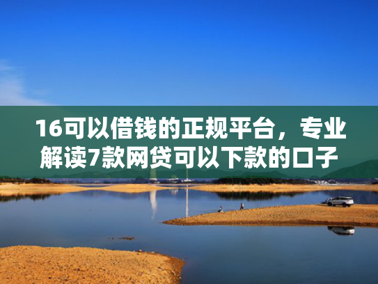 16可以借钱的正规平台，专业解读7款网贷可以下款的口子  第1张