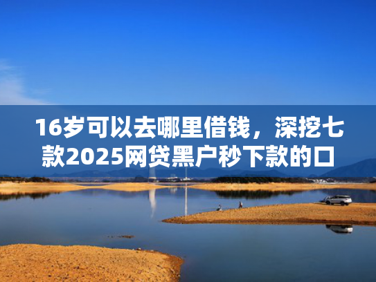 16岁可以去哪里借钱，深挖七款2025网贷黑户秒下款的口子