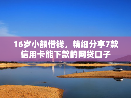 16岁小额借钱，精细分享7款信用卡能下款的网贷口子