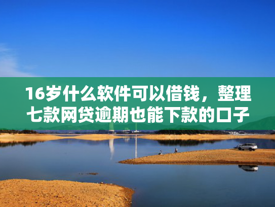 16岁什么软件可以借钱，整理七款网贷逾期也能下款的口子