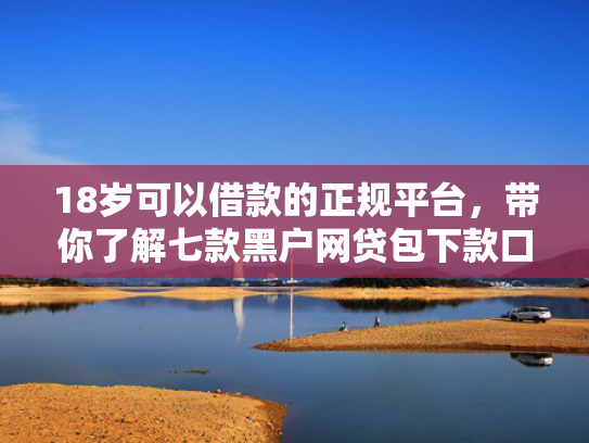 18岁可以借款的正规平台，带你了解七款黑户网贷包下款口子