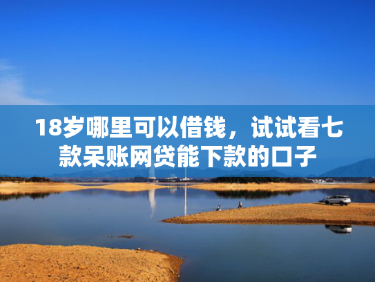 18岁哪里可以借钱，试试看七款呆账网贷能下款的口子  第1张