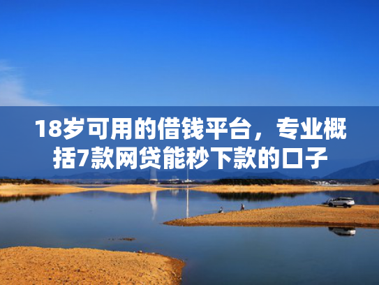 18岁可用的借钱平台，专业概括7款网贷能秒下款的口子  第1张