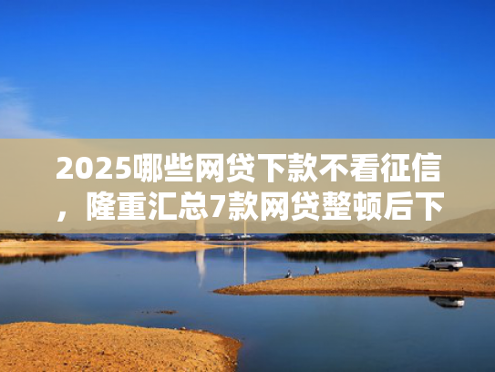 2025哪些网贷下款不看征信，隆重汇总7款网贷整顿后下款口子