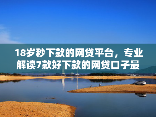18岁秒下款的网贷平台，专业解读7款好下款的网贷口子最近  第1张
