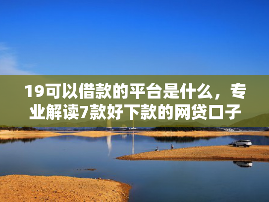 19可以借款的平台是什么，专业解读7款好下款的网贷口子5w  第1张