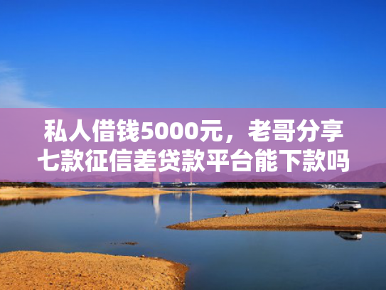 私人借钱5000元，老哥分享七款征信差贷款平台能下款吗安全吗  第1张