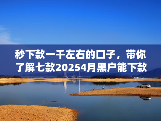 秒下款一千左右的口子，带你了解七款20254月黑户能下款app