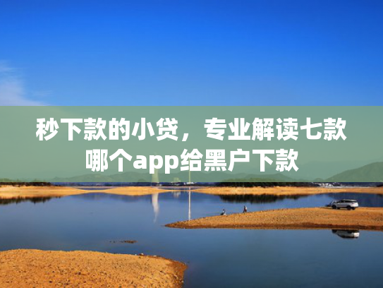 秒下款的小贷，专业解读七款哪个app给黑户下款
