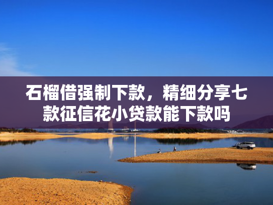 石榴借强制下款，精细分享七款征信花小贷款能下款吗  第1张