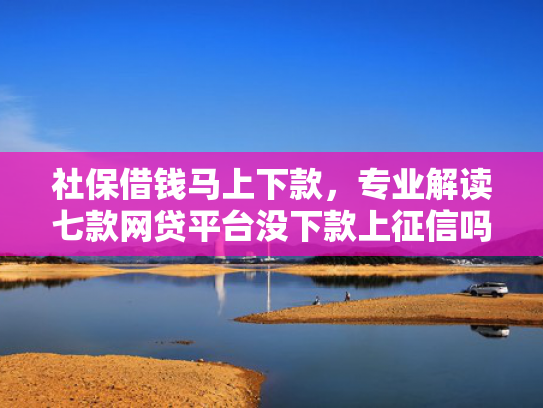 社保借钱马上下款，专业解读七款网贷平台没下款上征信吗  第1张