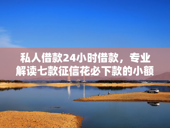 私人借款24小时借款，专业解读七款征信花必下款的小额贷款  第1张