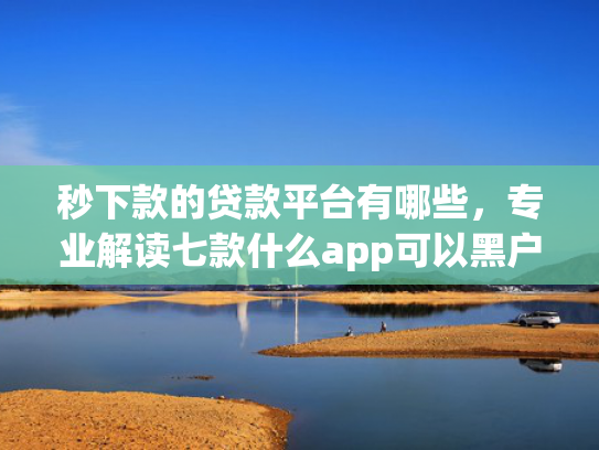 秒下款的贷款平台有哪些，专业解读七款什么app可以黑户下款