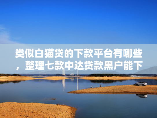 类似白猫贷的下款平台有哪些，整理七款中达贷款黑户能下款吗
