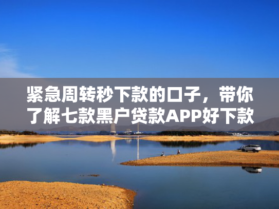 紧急周转秒下款的口子，带你了解七款黑户贷款APP好下款
