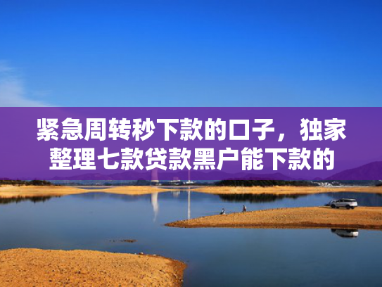紧急周转秒下款的口子，独家整理七款贷款黑户能下款的