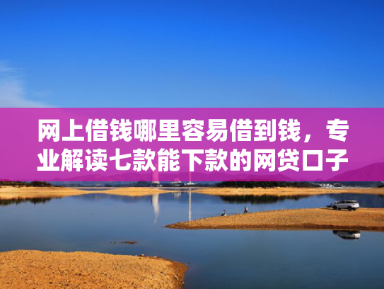 网上借钱哪里容易借到钱，专业解读七款能下款的网贷口子