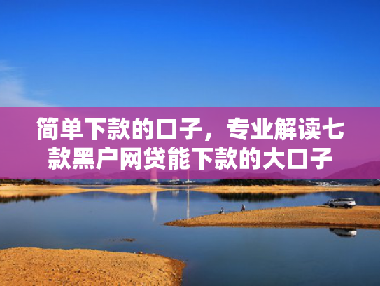 简单下款的口子，专业解读七款黑户网贷能下款的大口子