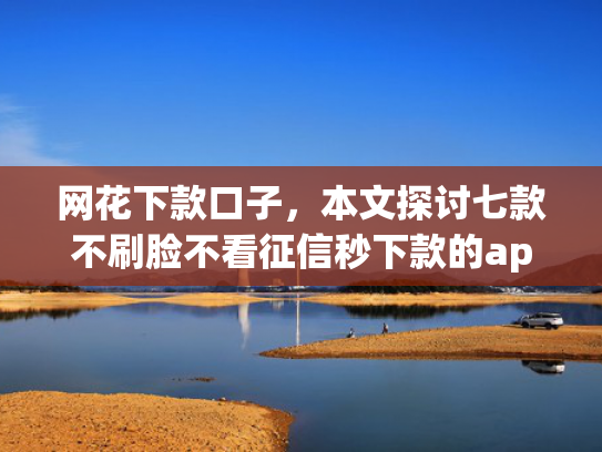 网花下款口子，本文探讨七款不刷脸不看征信秒下款的app