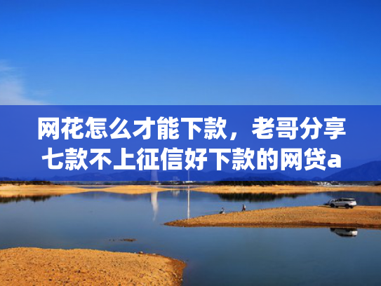 网花怎么才能下款，老哥分享七款不上征信好下款的网贷app