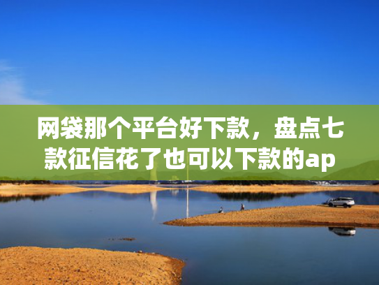 网袋那个平台好下款，盘点七款征信花了也可以下款的app