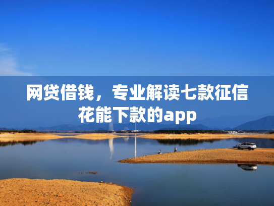 网贷借钱，专业解读七款征信花能下款的app