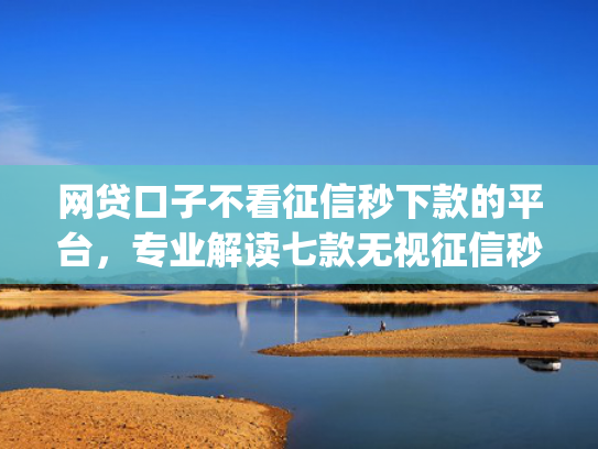 网贷口子不看征信秒下款的平台，专业解读七款无视征信秒下款的app