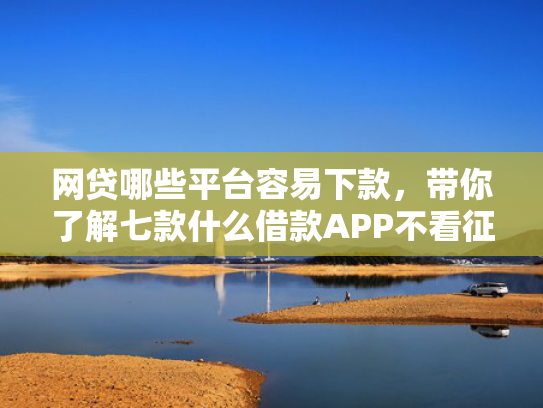 网贷哪些平台容易下款，带你了解七款什么借款APP不看征信秒下款  第1张