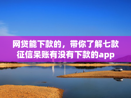 网贷能下款的，带你了解七款征信呆账有没有下款的app