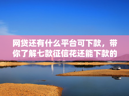 网贷还有什么平台可下款，带你了解七款征信花还能下款的app  第1张