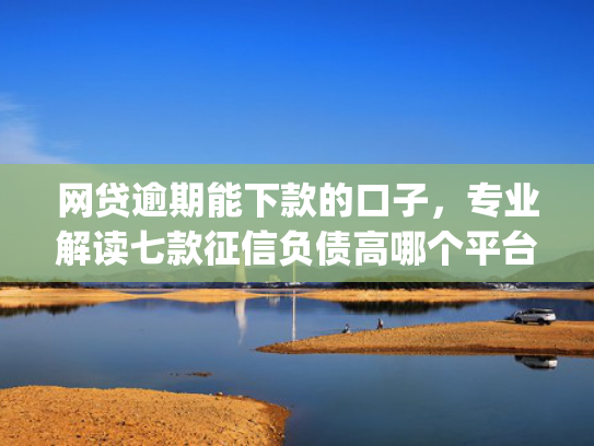 网贷逾期能下款的口子，专业解读七款征信负债高哪个平台好下款app  第1张