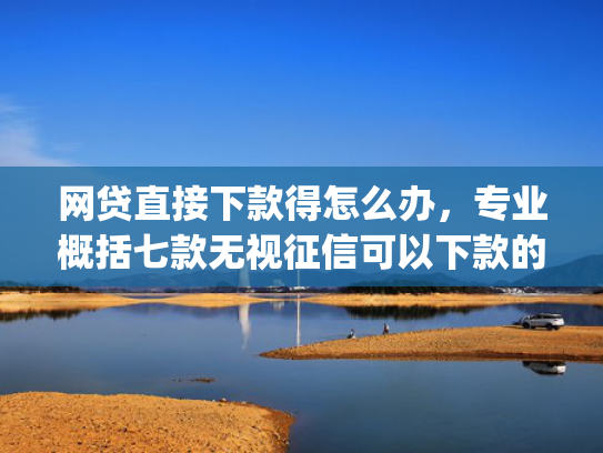 网贷直接下款得怎么办，专业概括七款无视征信可以下款的App贷款  第1张