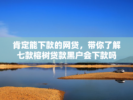 肯定能下款的网贷，带你了解七款榕树贷款黑户会下款吗